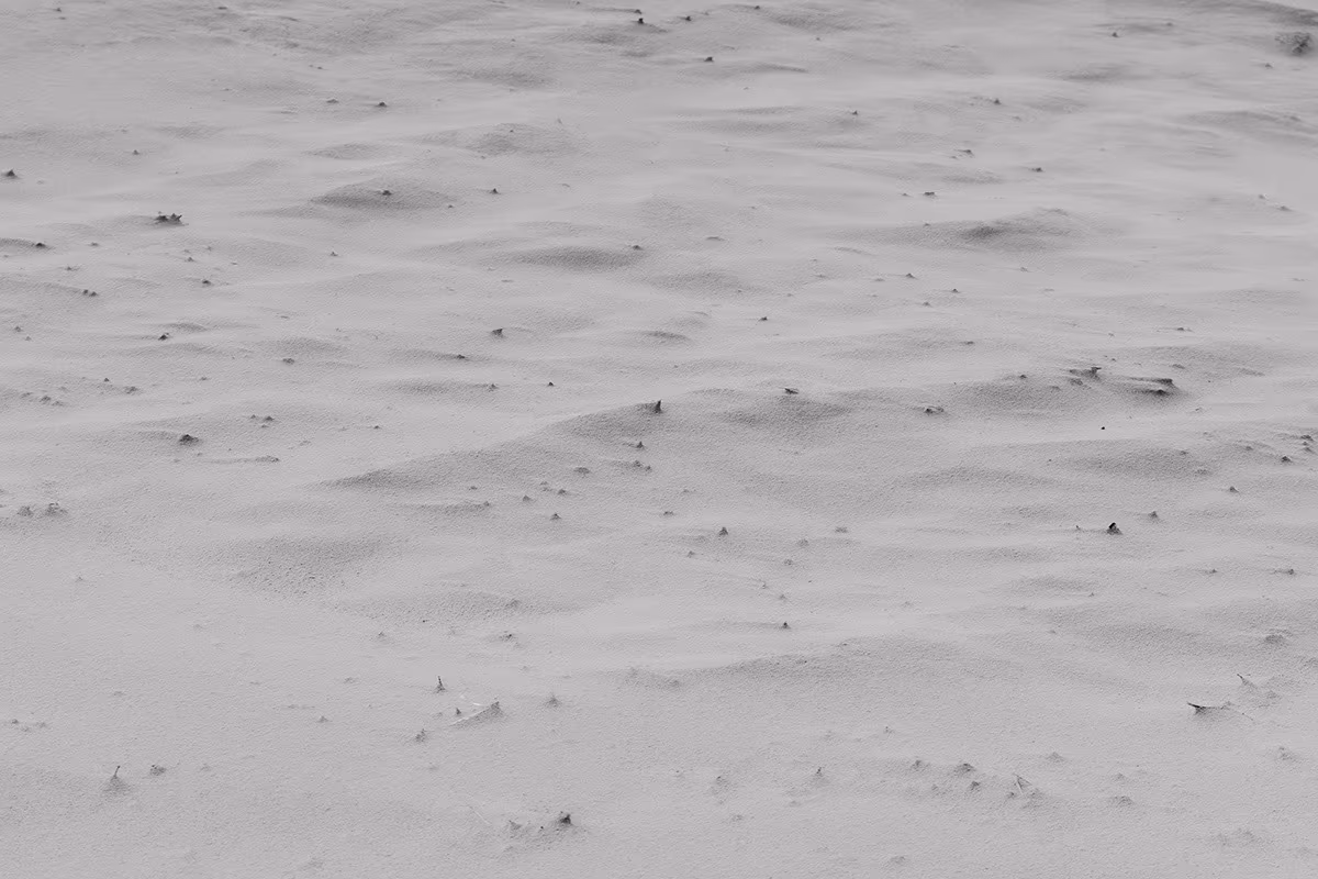 Bord de l'eau — image 2 sur 29