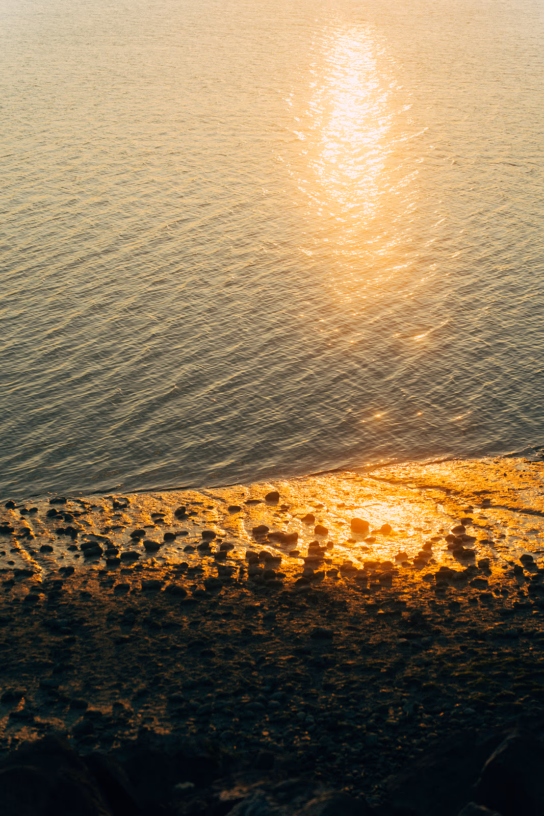 Bord de l'eau — image 4 sur 29
