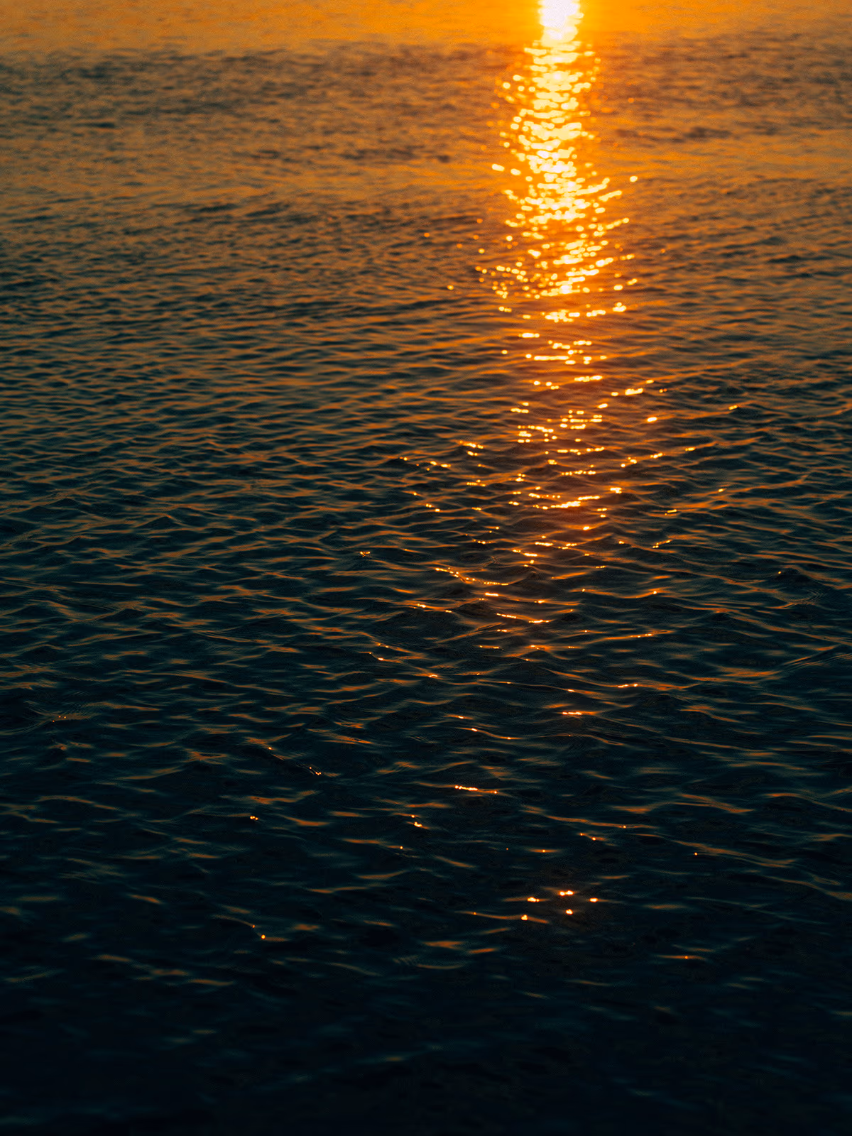 Bord de l'eau — image 6 sur 29