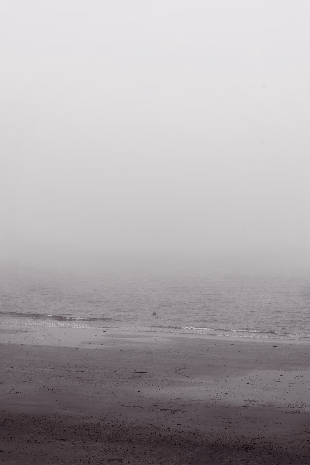 Bord de l'eau — image 10 sur 29
