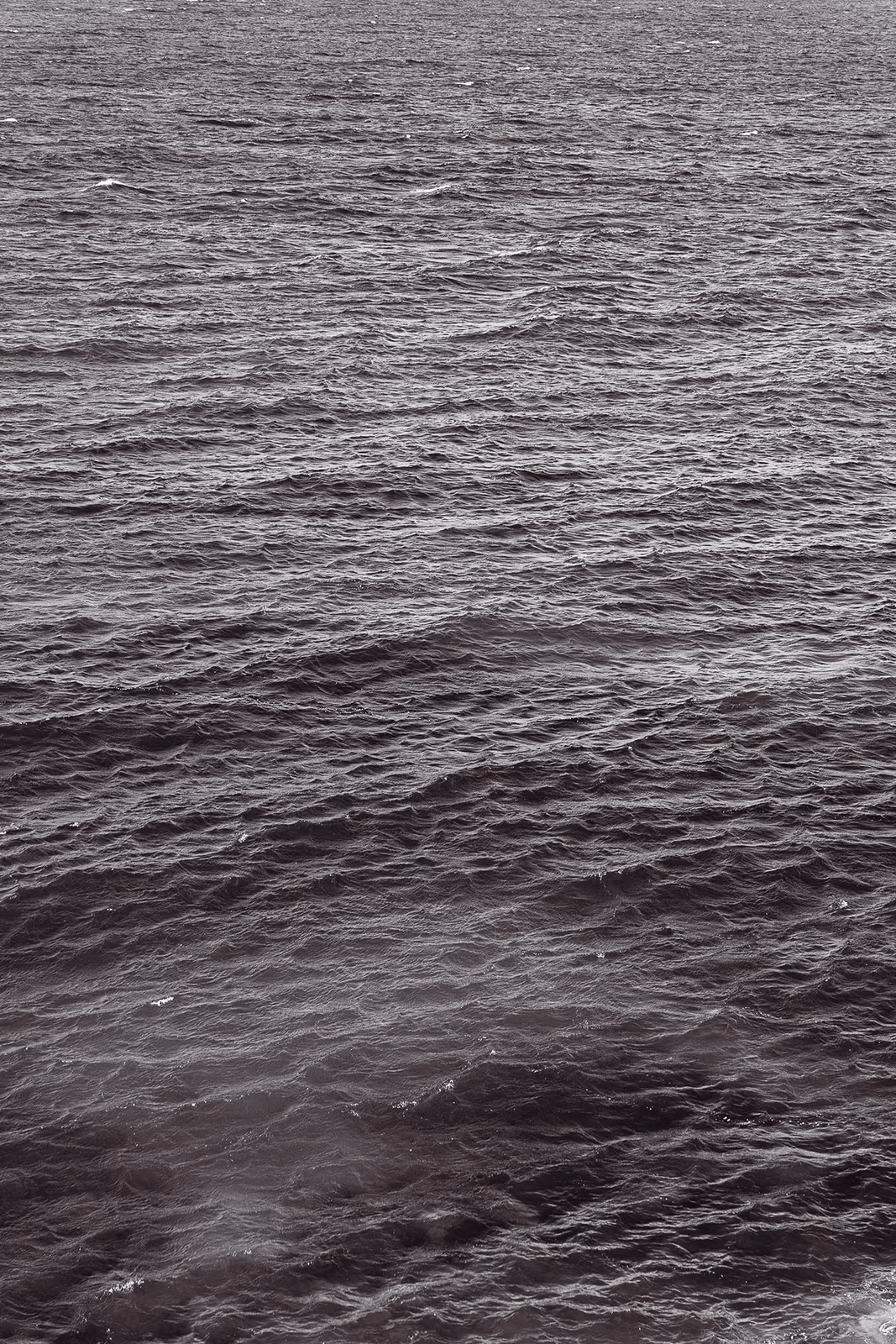 Bord de l'eau — image 12 sur 29