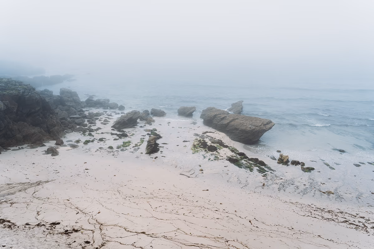 Bord de l'eau — image 13 sur 29
