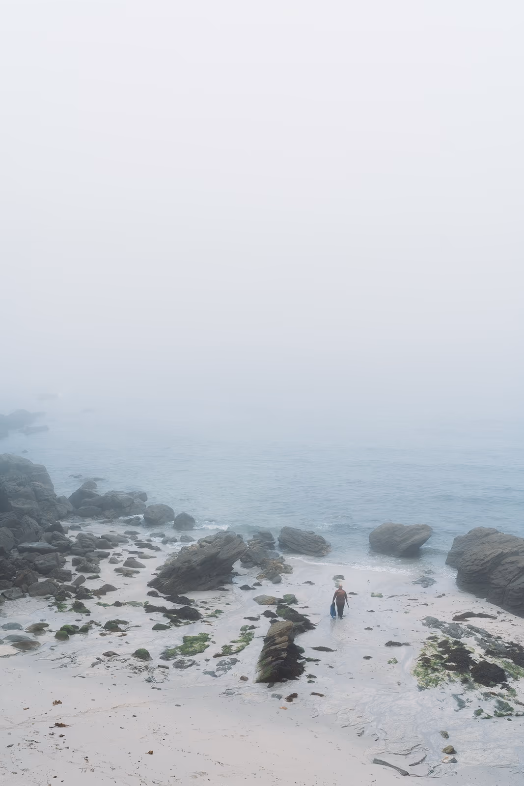 Bord de l'eau — image 14 sur 29