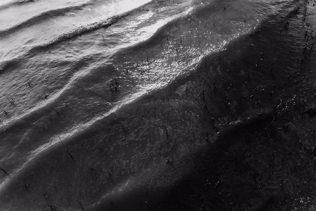 Bord de l'eau — image 19 sur 29