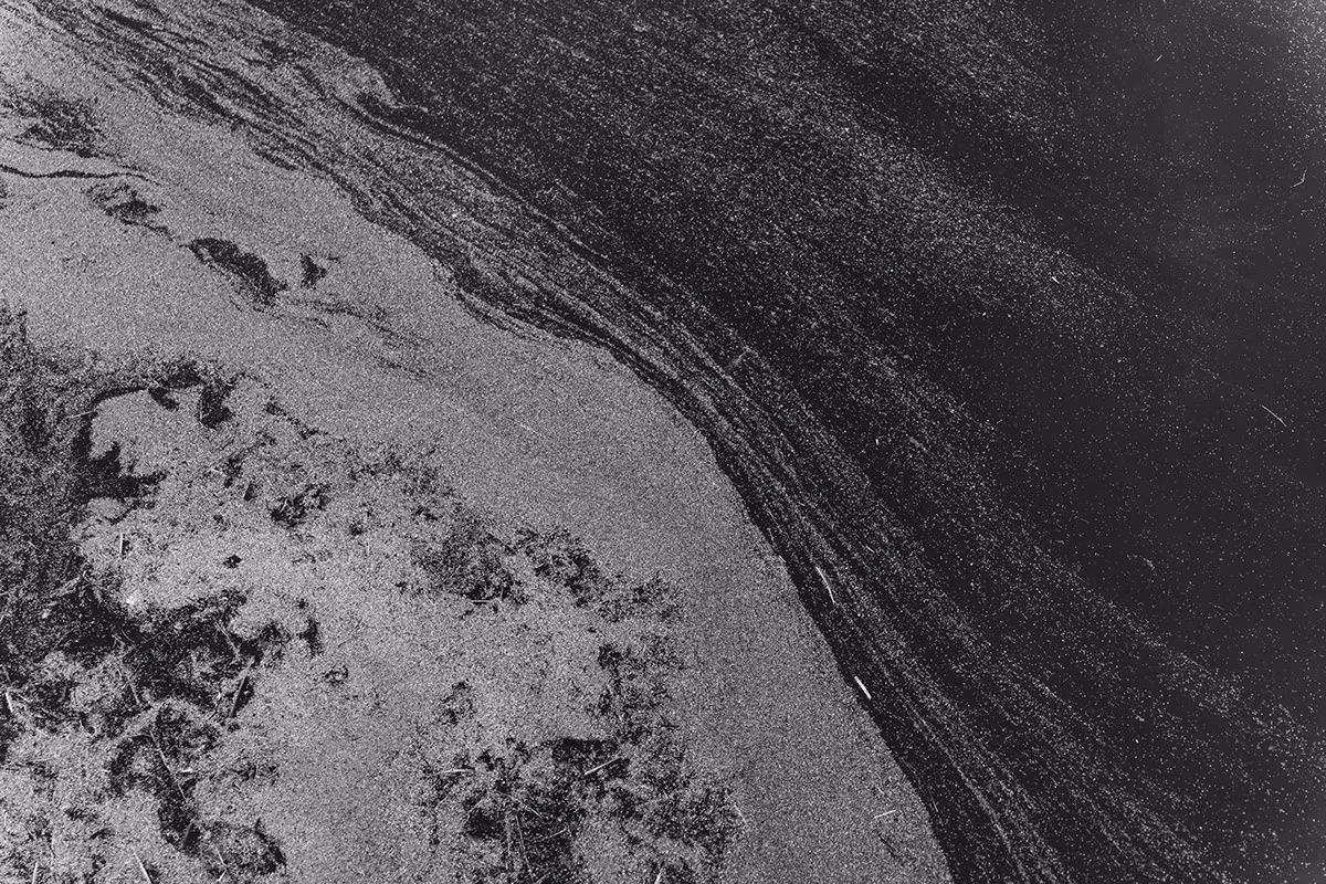 Bord de l'eau — image 21 sur 29