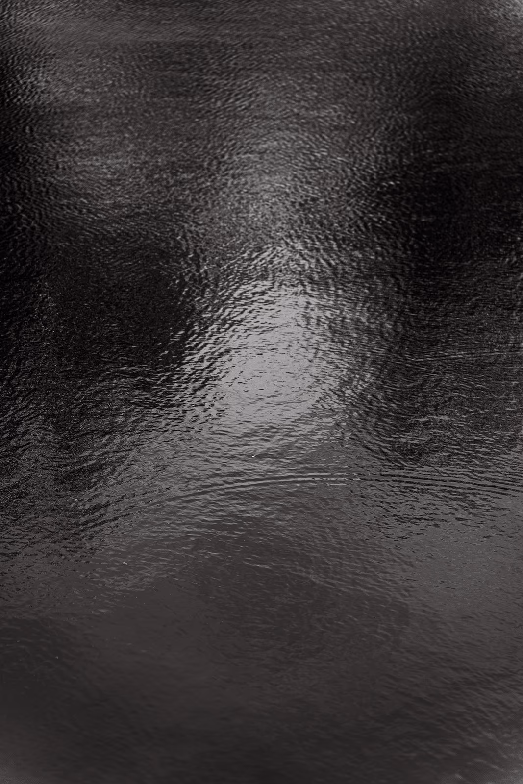Bord de l'eau — image 23 sur 29