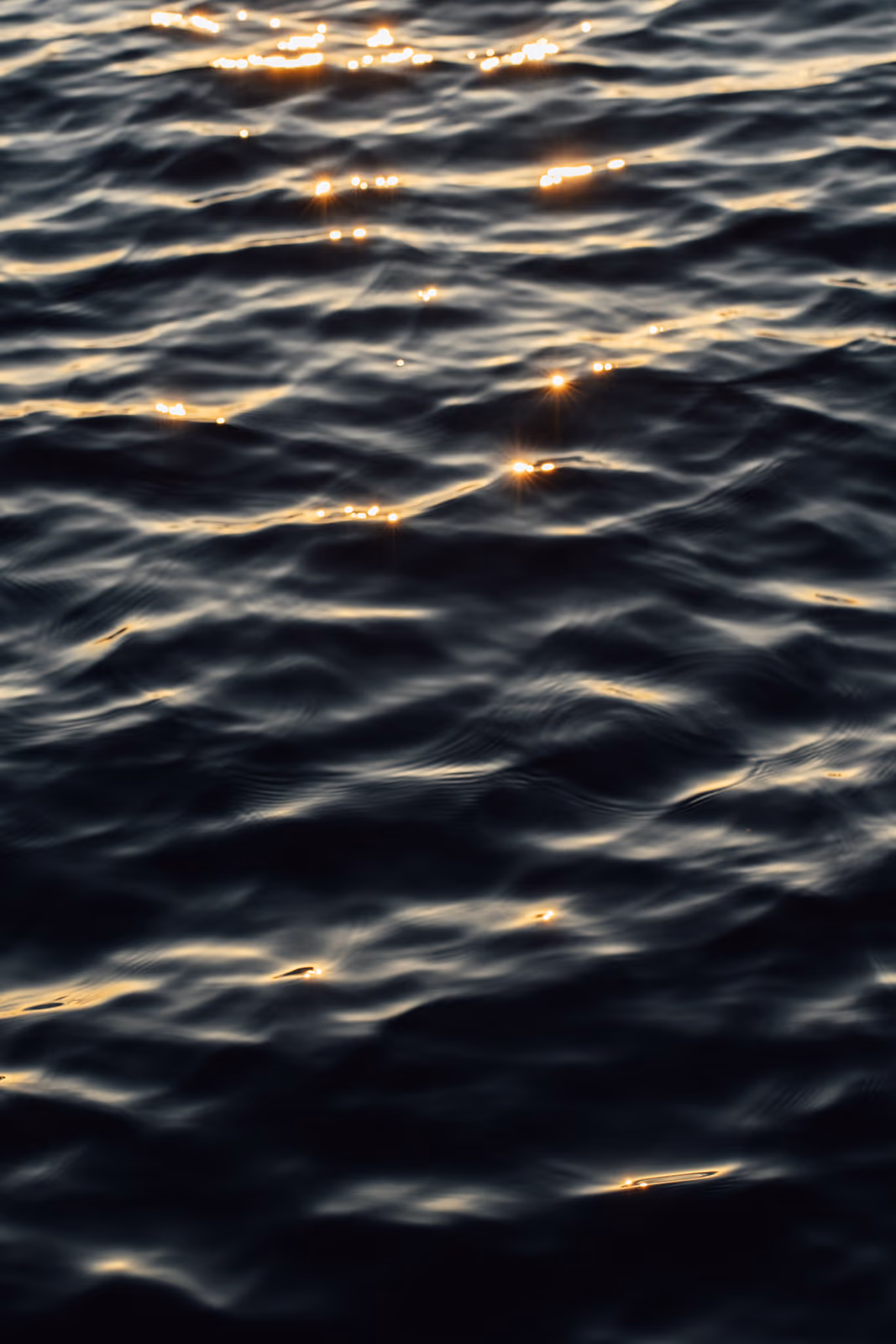Bord de l'eau — image 25 sur 29