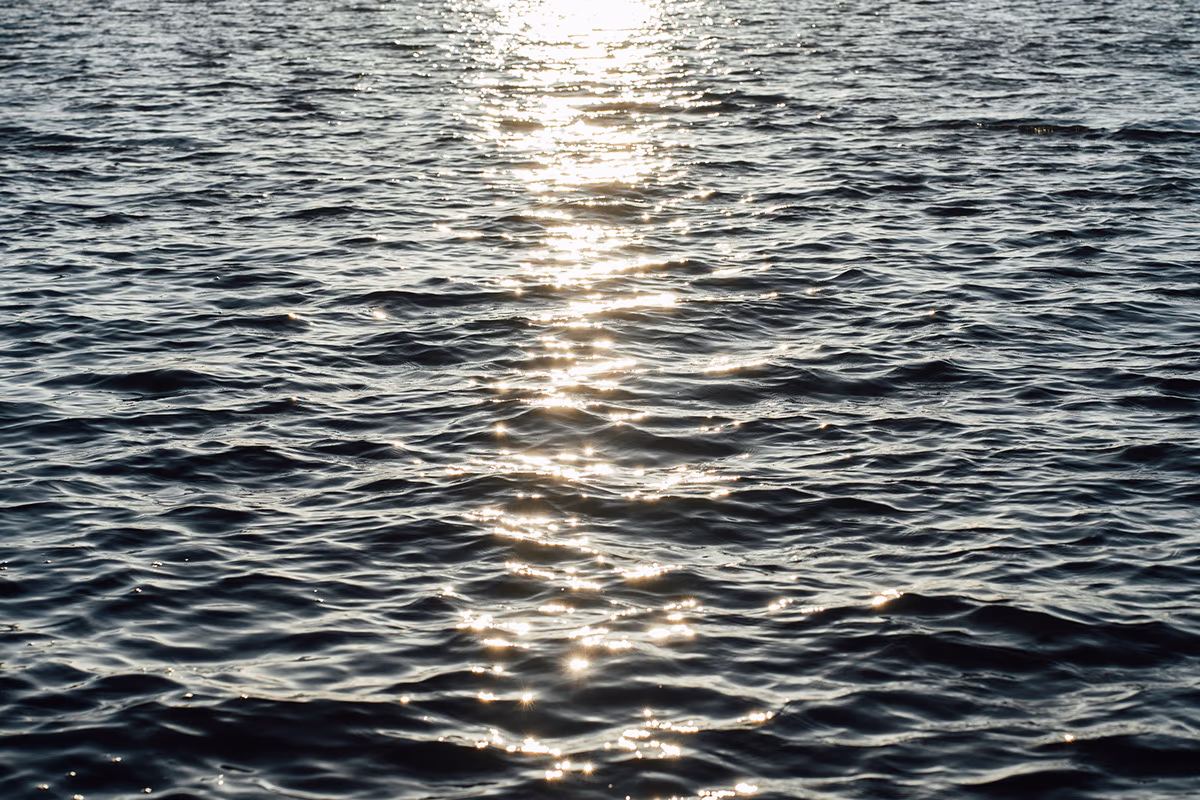 Bord de l'eau — image 26 sur 29