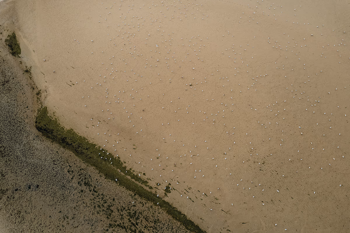 Vu du ciel — image 8 sur 14