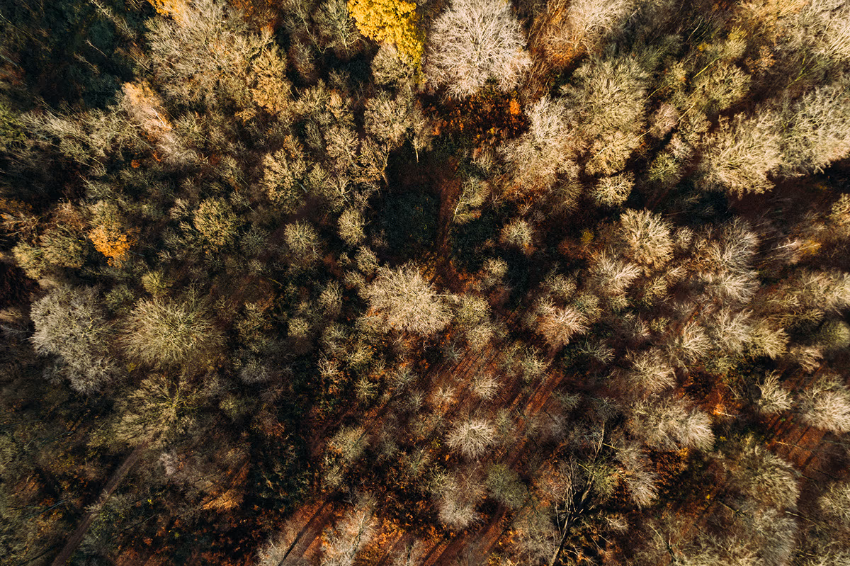 Vu du ciel — image 11 sur 14