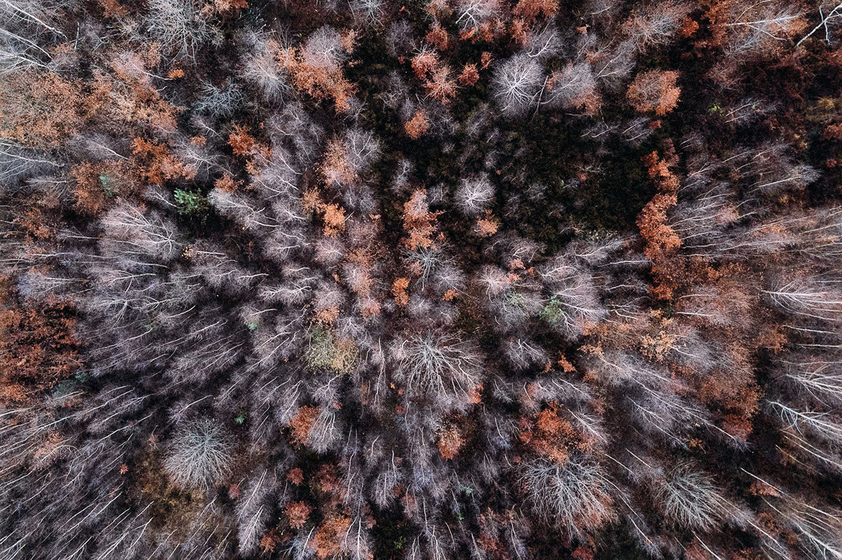 Vu du ciel — image 12 sur 14