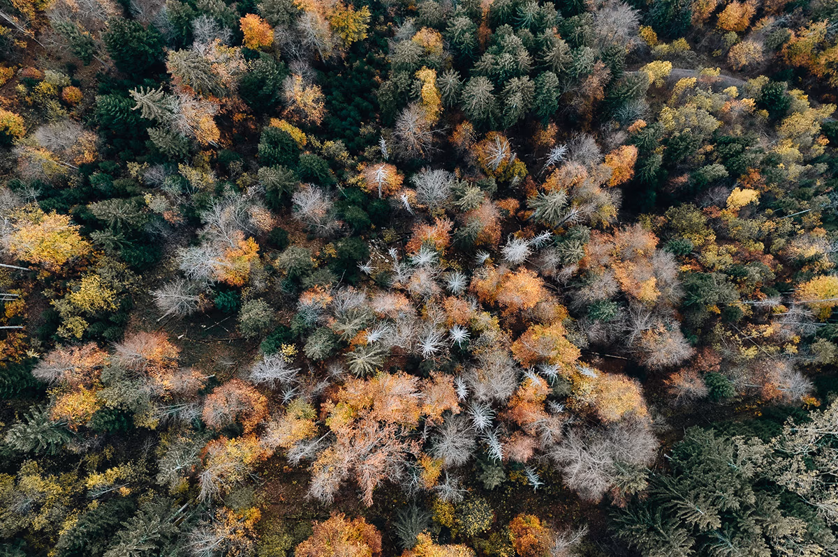 Vu du ciel — image 13 sur 14
