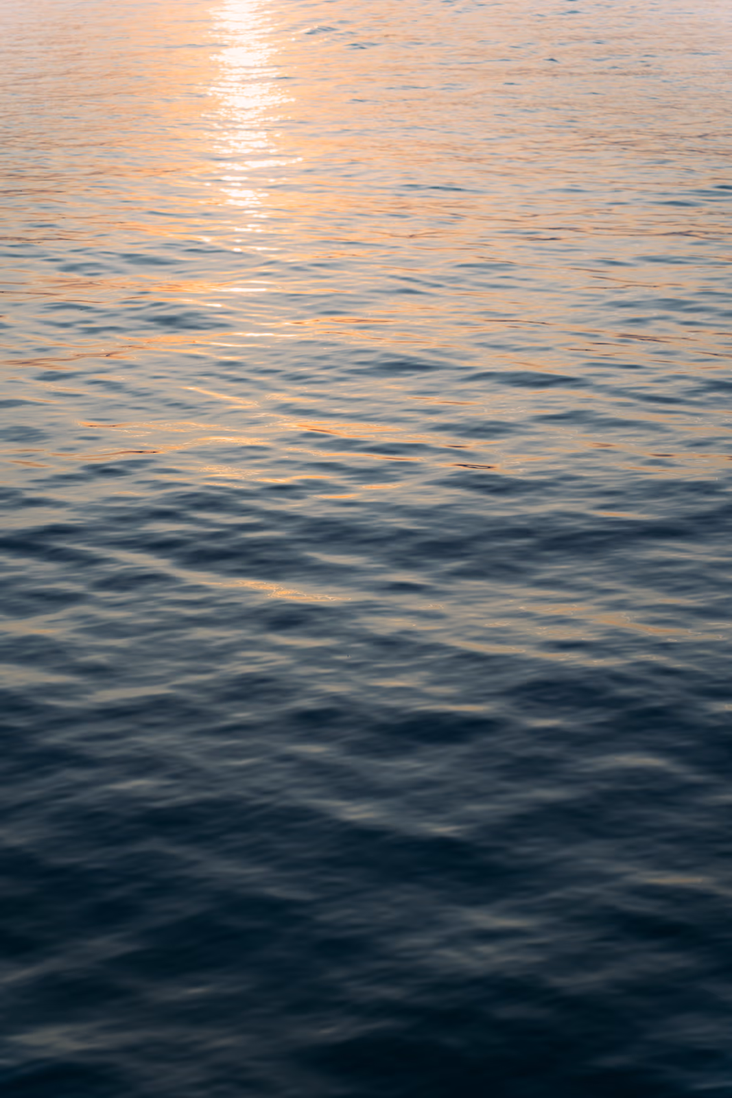 Gradients — image 8 sur 8