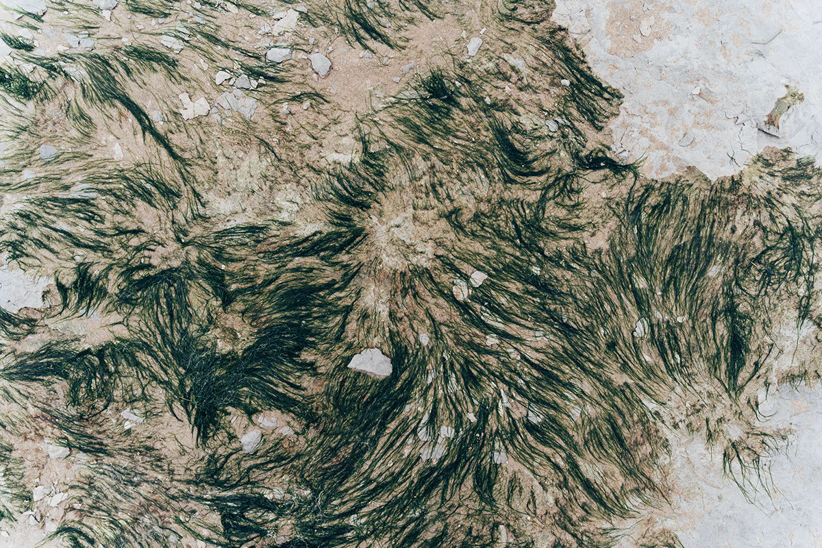 Textures — image 6 sur 13