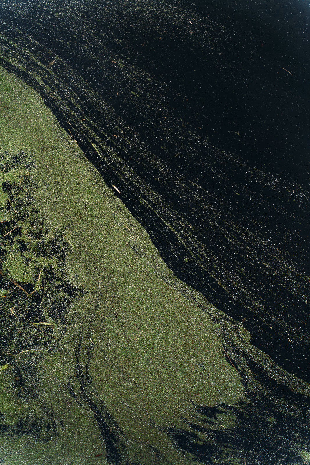 Textures — image 9 sur 13