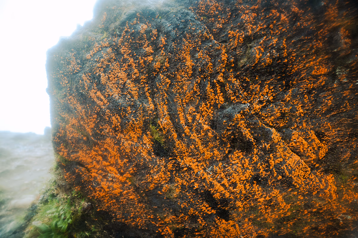 Textures — image 10 sur 13