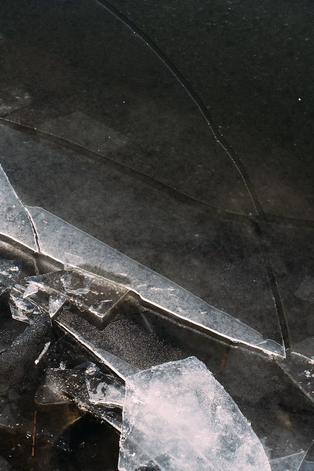 Textures — image 11 sur 13