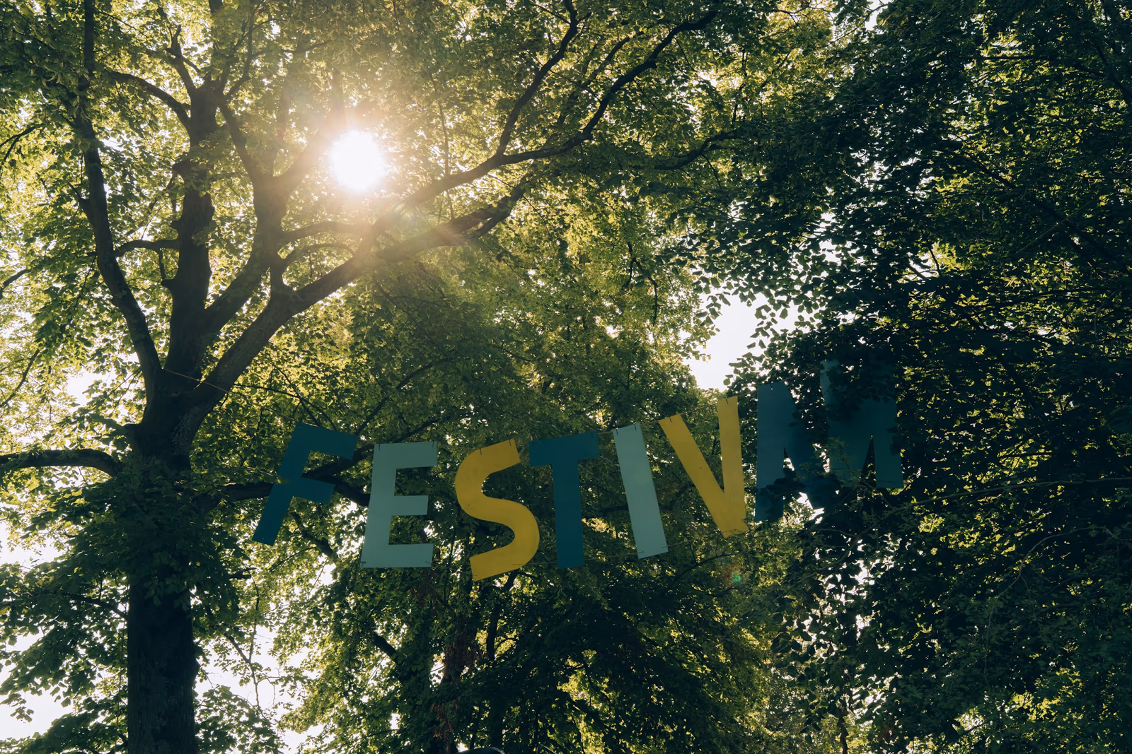 Festivan 2025 — image 2 sur 10
