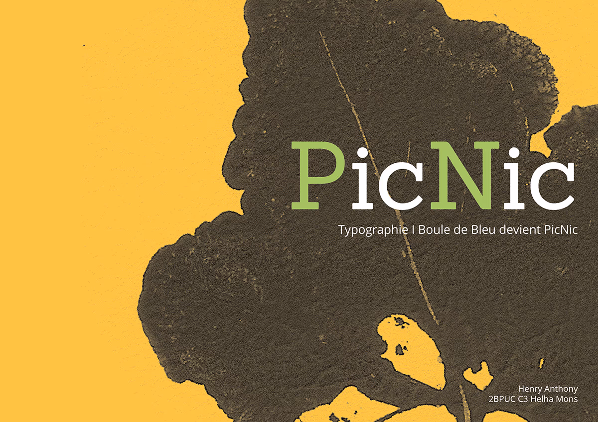 PicNic
