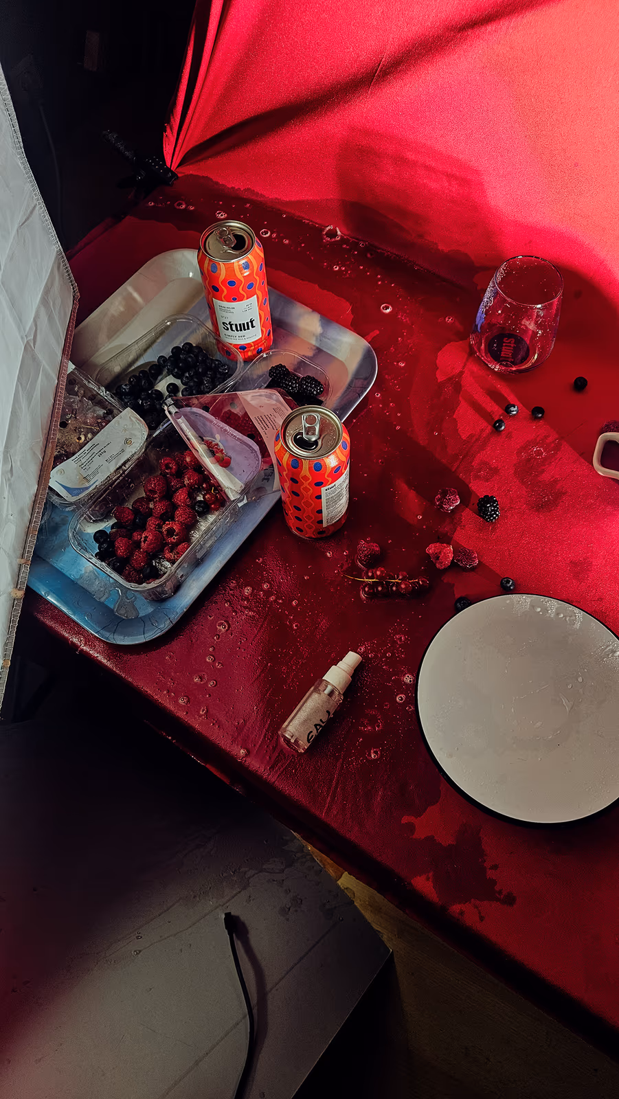 Stuut Beer 2025 — Content Creation — image 1 sur 6