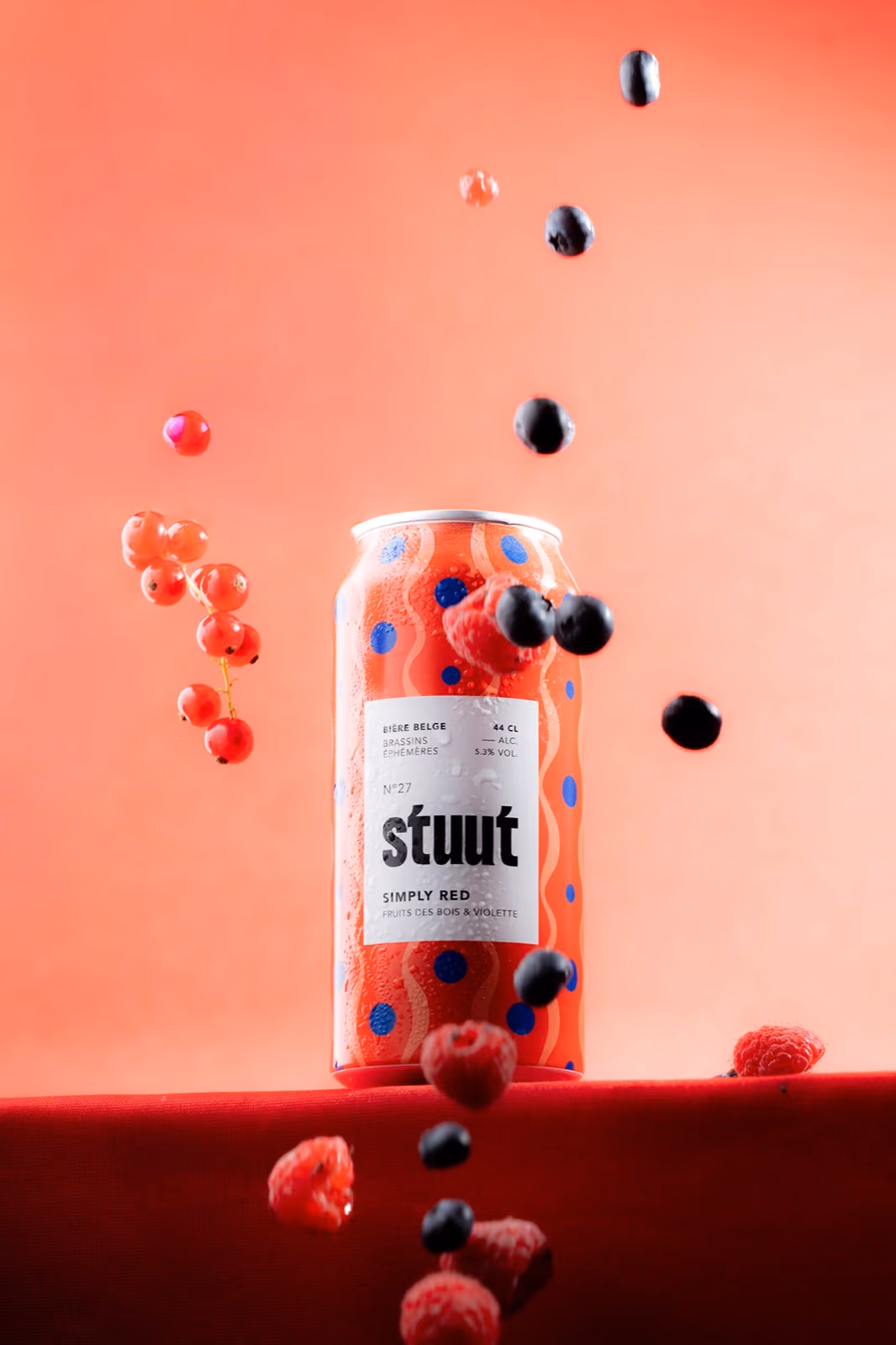 Stuut Beer 2025 — Content Creation — image 2 sur 6