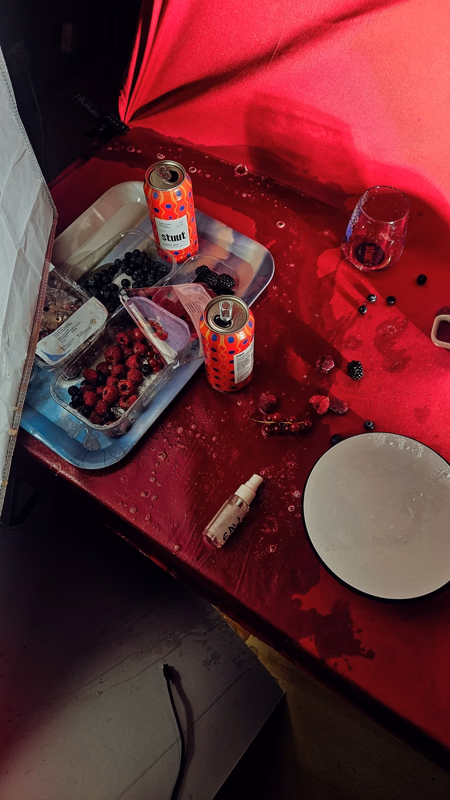 Stuut Beer 2025 — Content Creation — image 3 sur 6