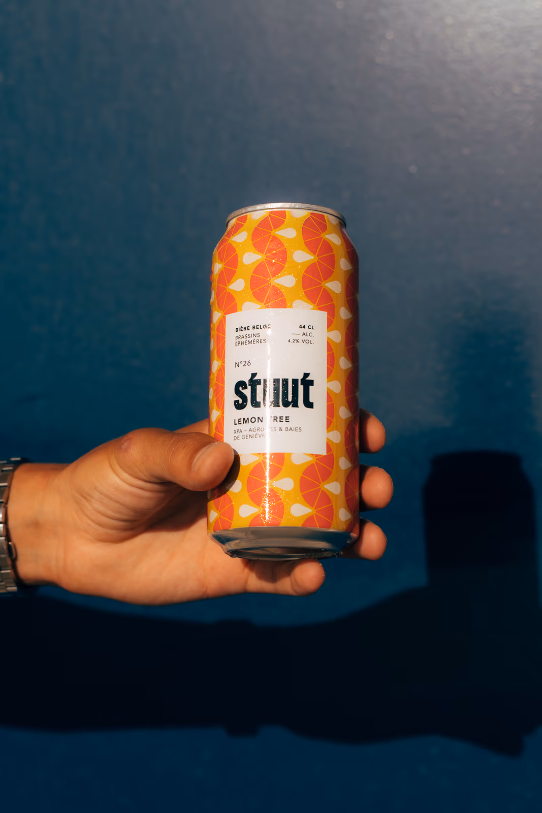 Stuut — Le Tour — image 4 sur 17, Le Touquet