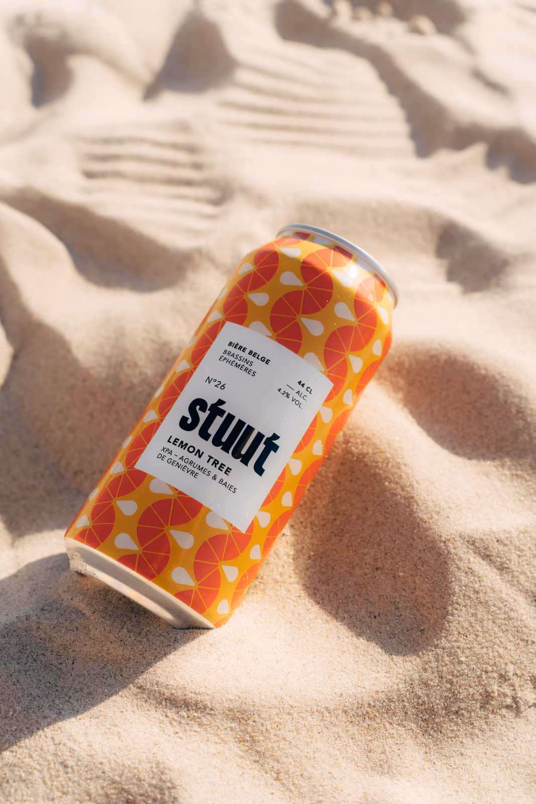 Stuut — Le Tour — image 5 sur 17, Le Touquet