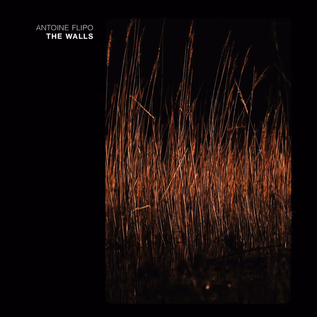 Pochette — The Walls