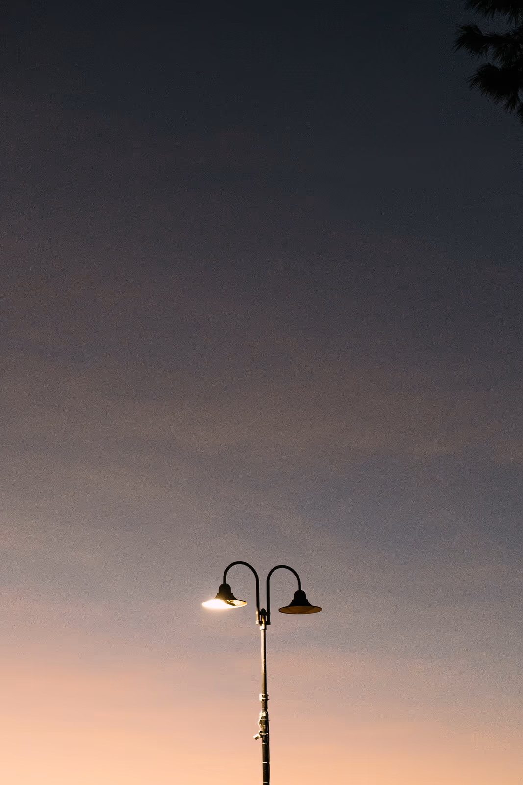 Nuits — image 6 sur 6