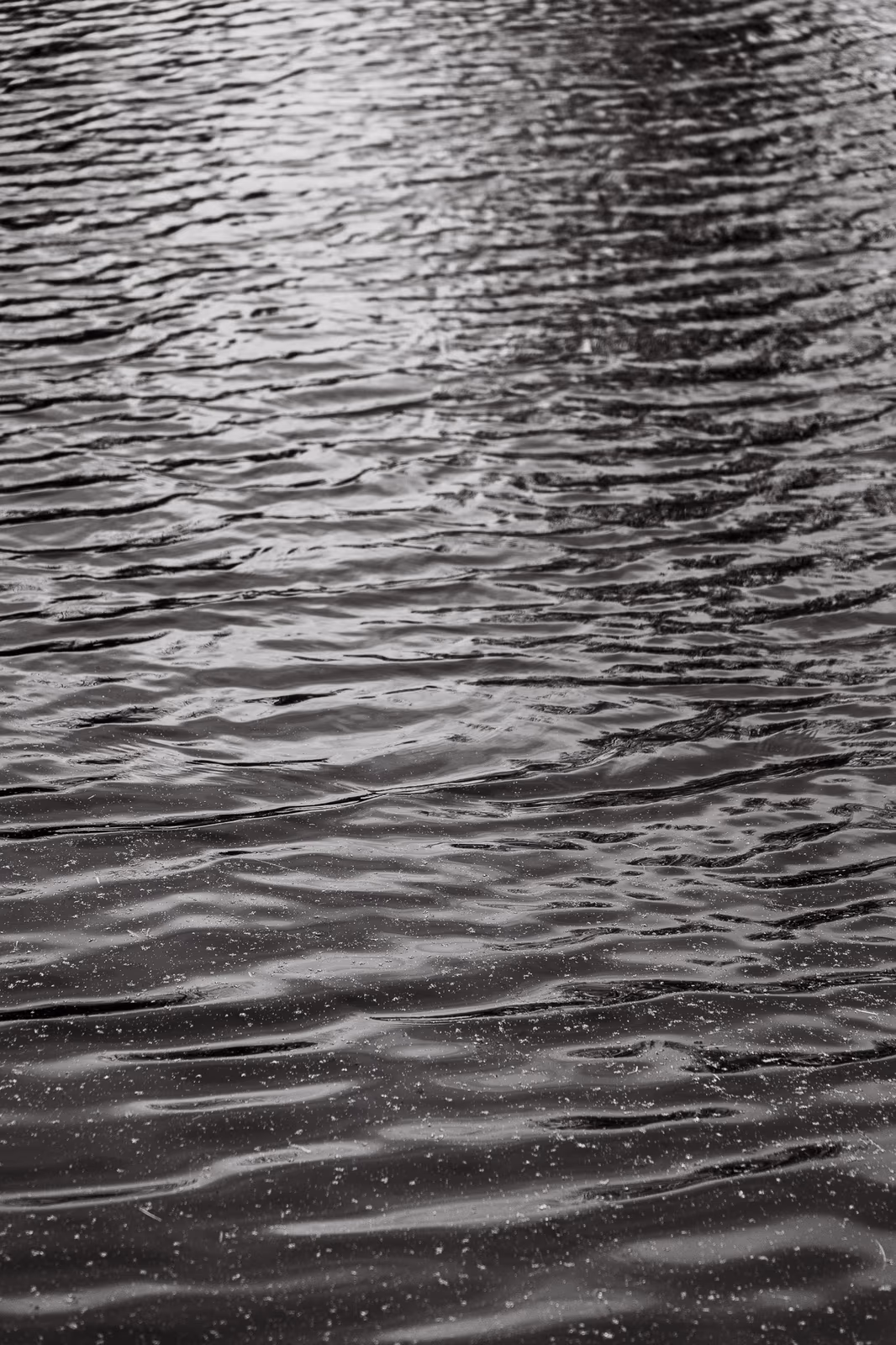 Bord de l'eau — image 30 sur 31