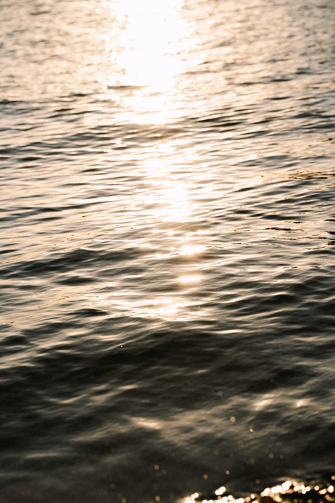 Bord de l'eau — image 31 sur 31