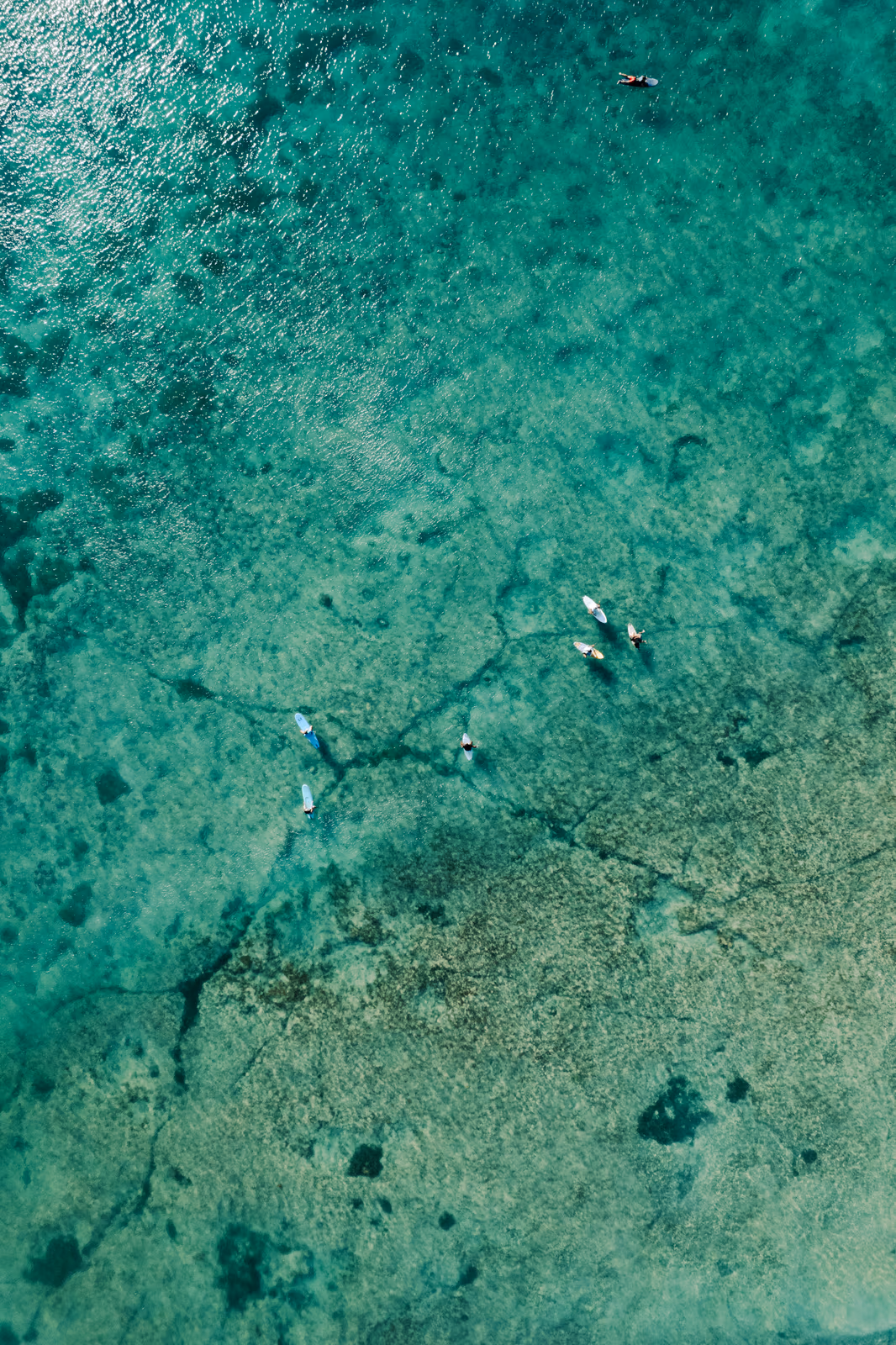 Bord de l'eau — image 33 sur 44