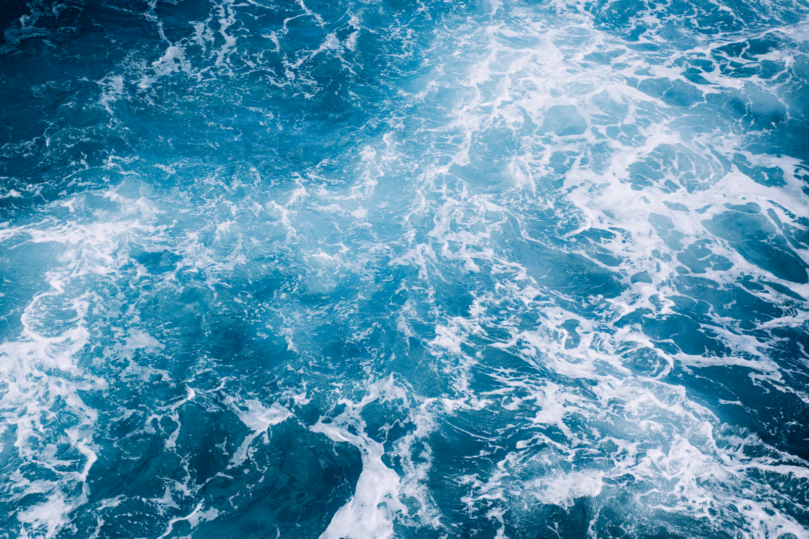 Bord de l'eau — image 36 sur 44
