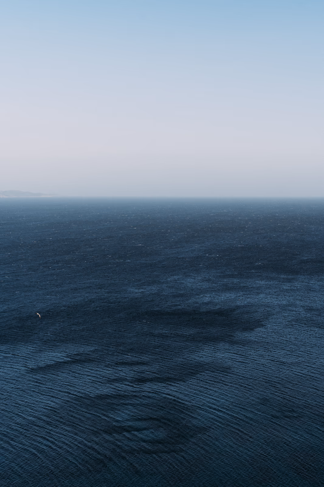 Bord de l'eau — image 38 sur 44