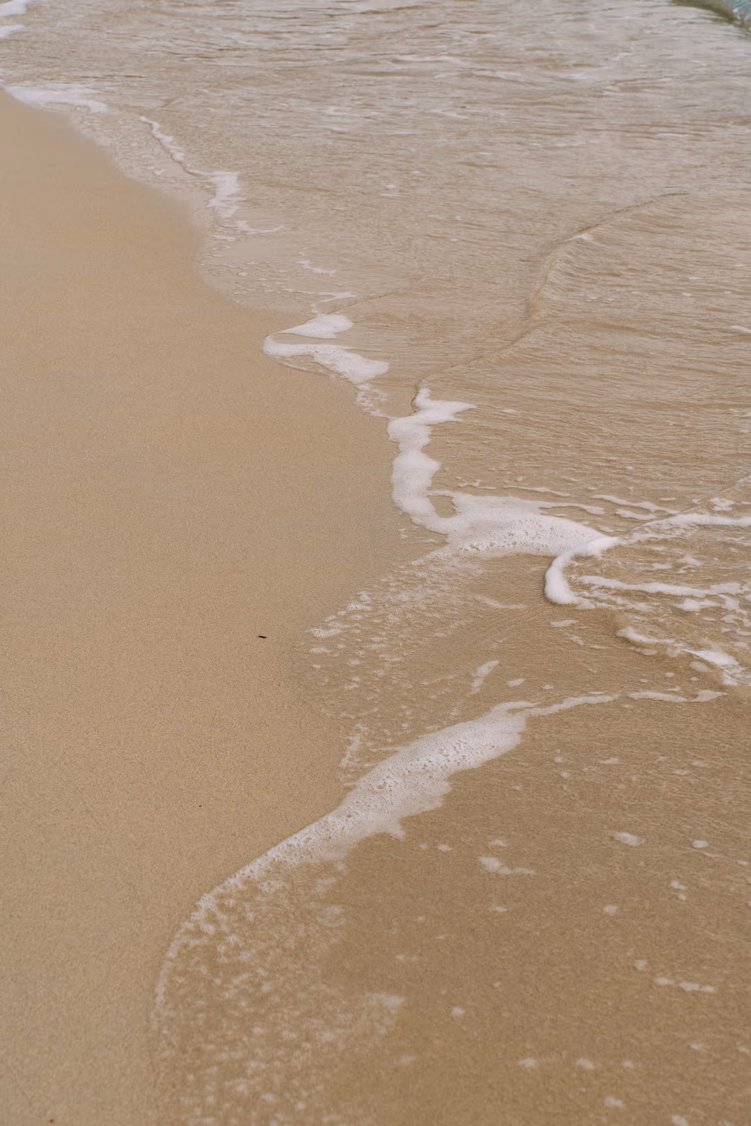 Bord de l'eau — image 39 sur 44