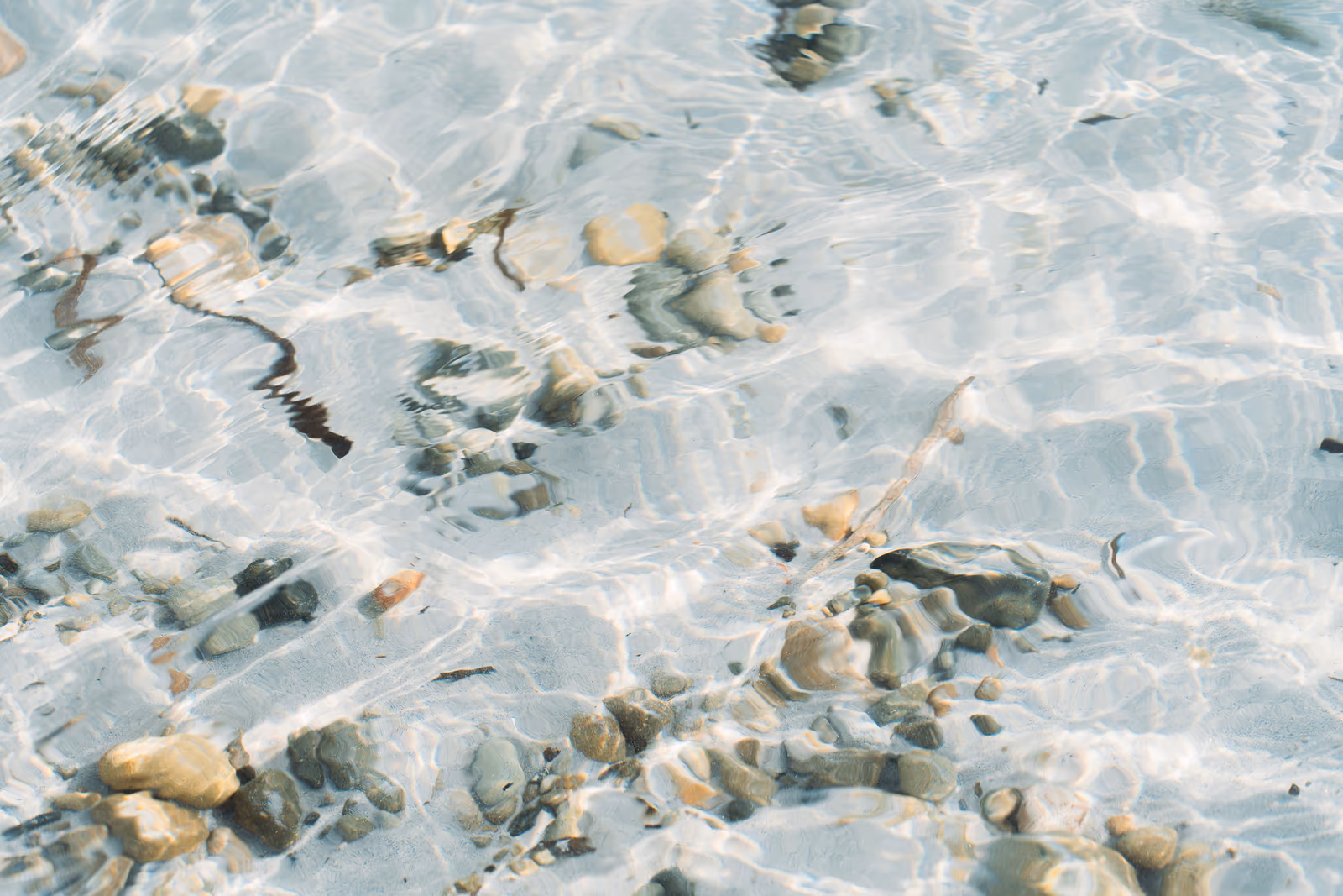 Bord de l'eau — image 40 sur 44