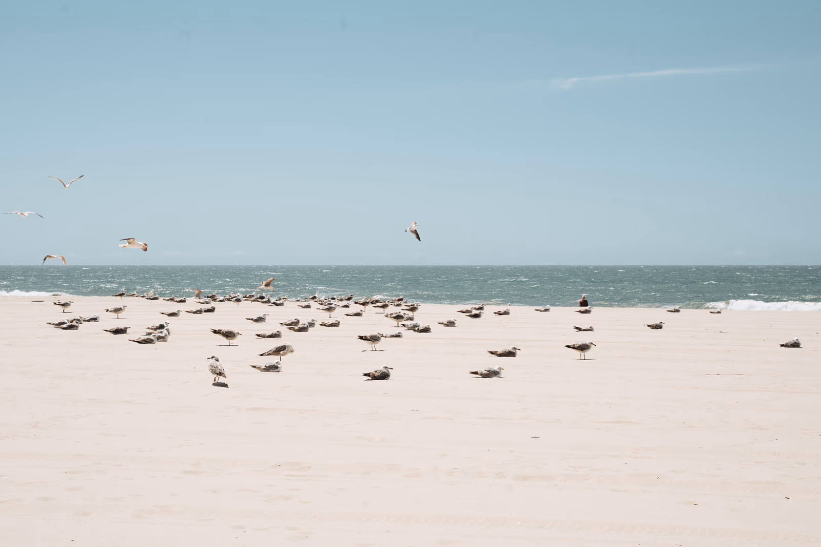 Bord de l'eau — image 41 sur 44