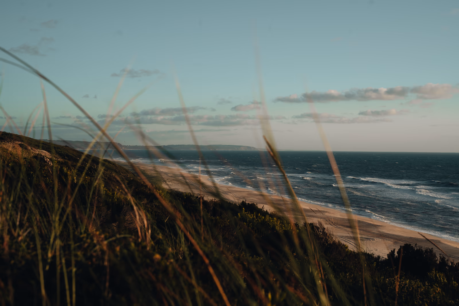Bord de l'eau — image 42 sur 44