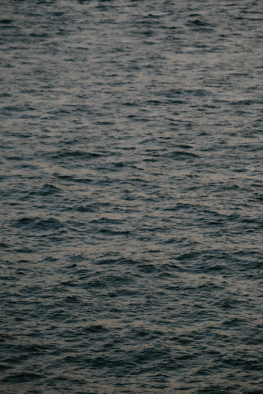 Bord de l'eau — image 43 sur 44
