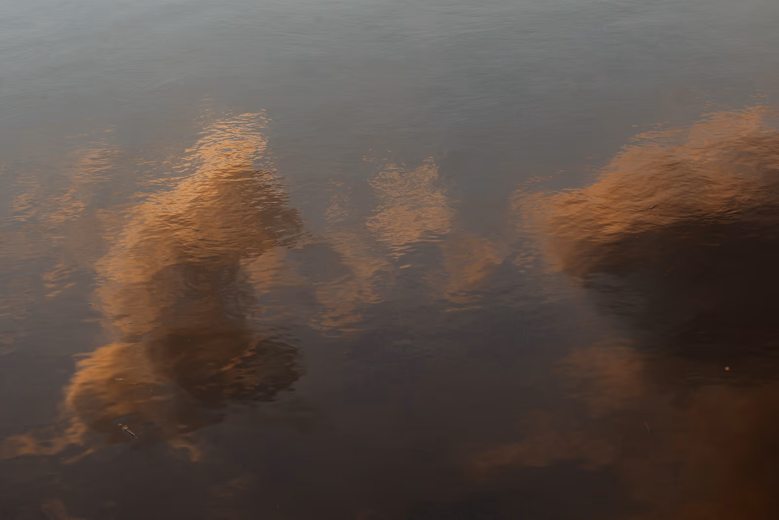 Gradients — image 11 sur 14