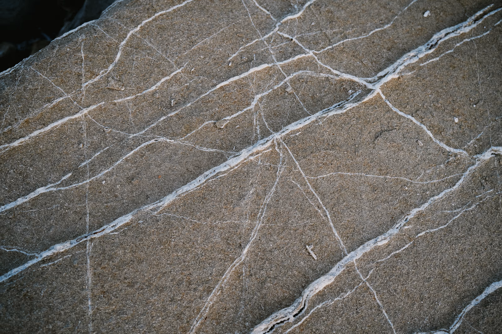 Textures — image 14 sur 18