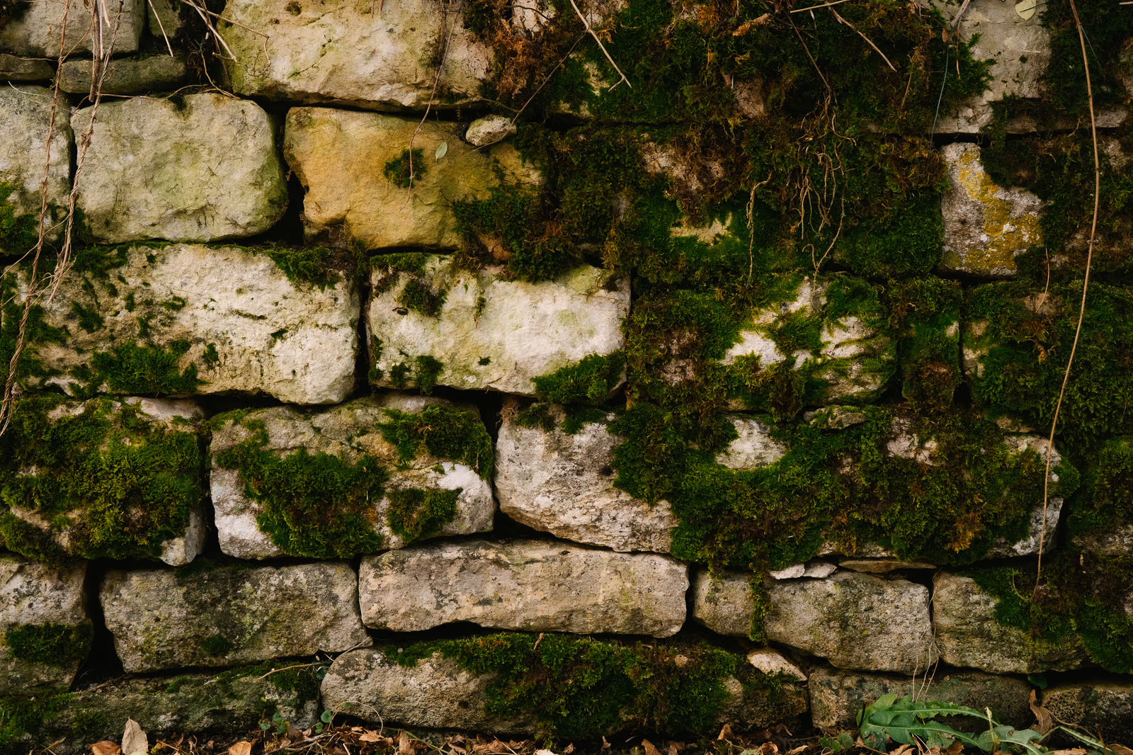Textures — image 17 sur 18