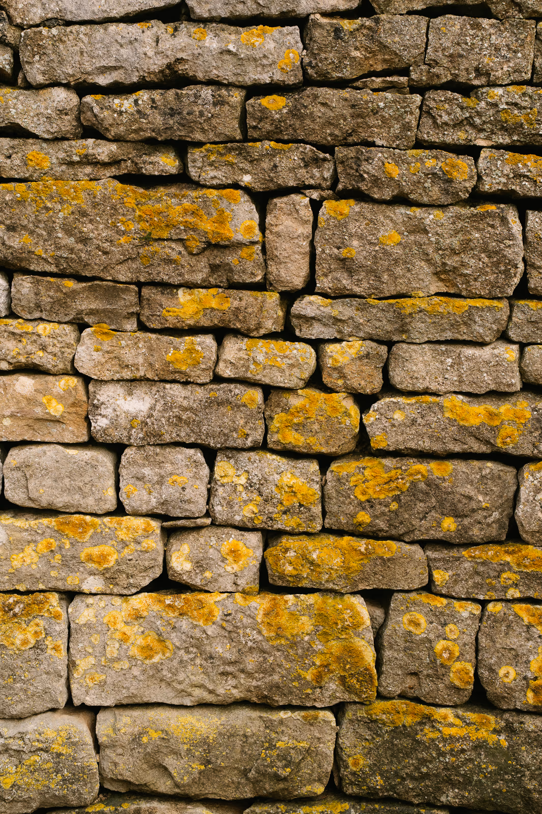 Textures — image 18 sur 18