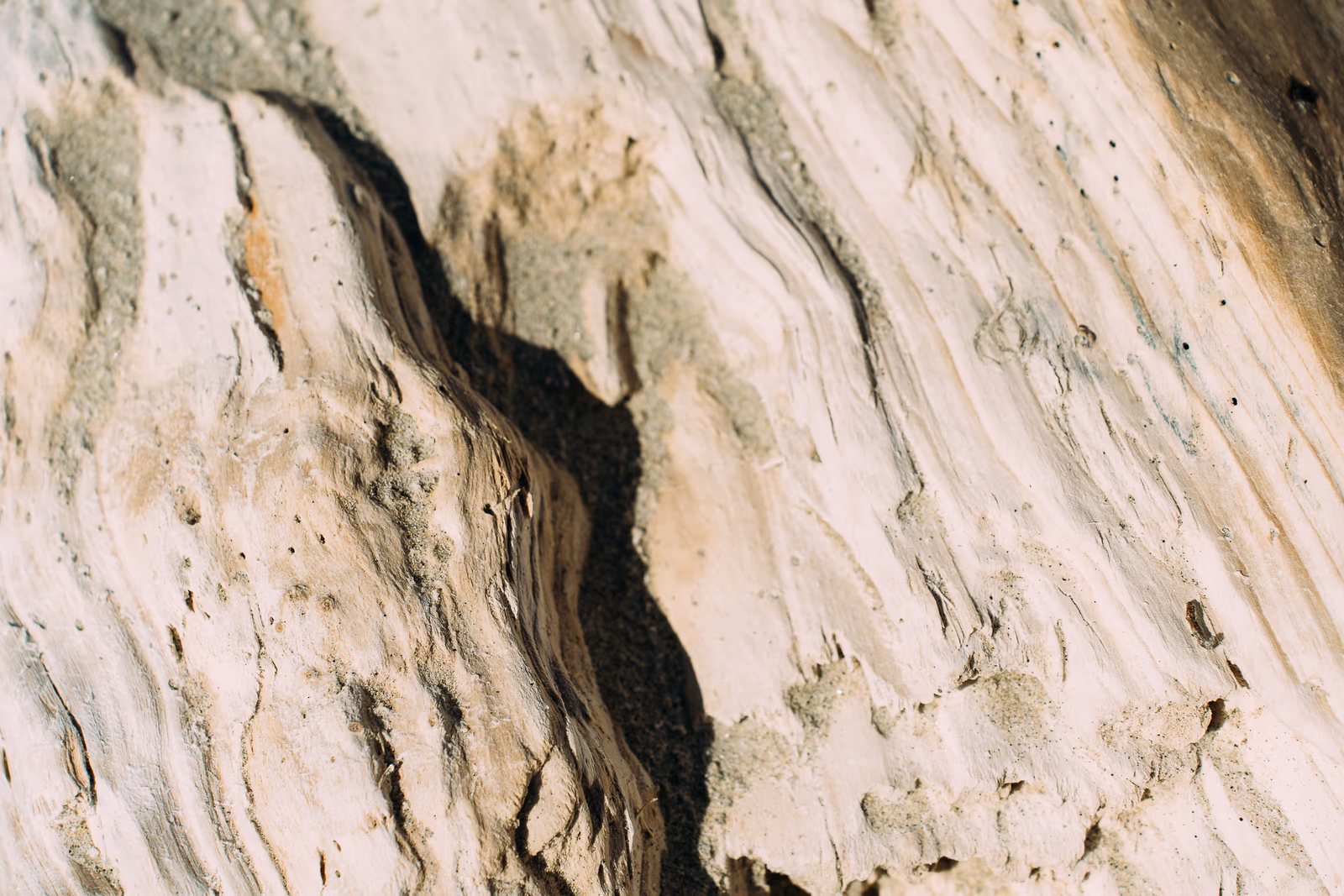 Textures — image 20 sur 26