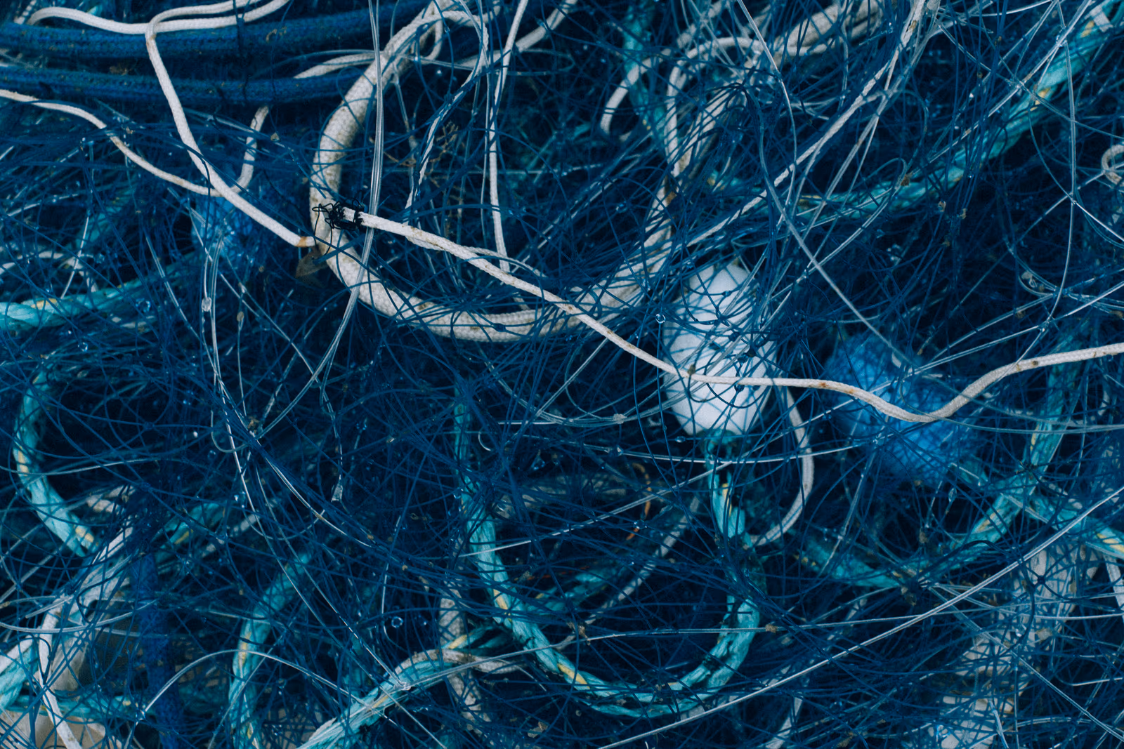 Textures — image 23 sur 26