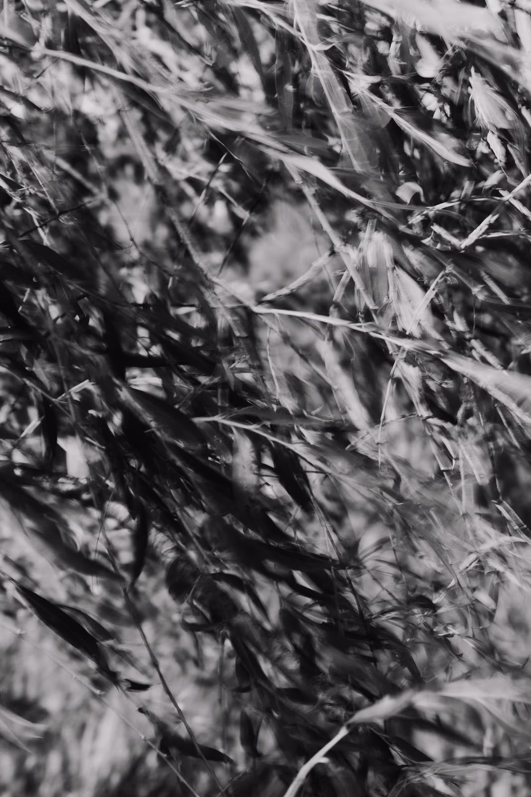 Textures — image 25 sur 26