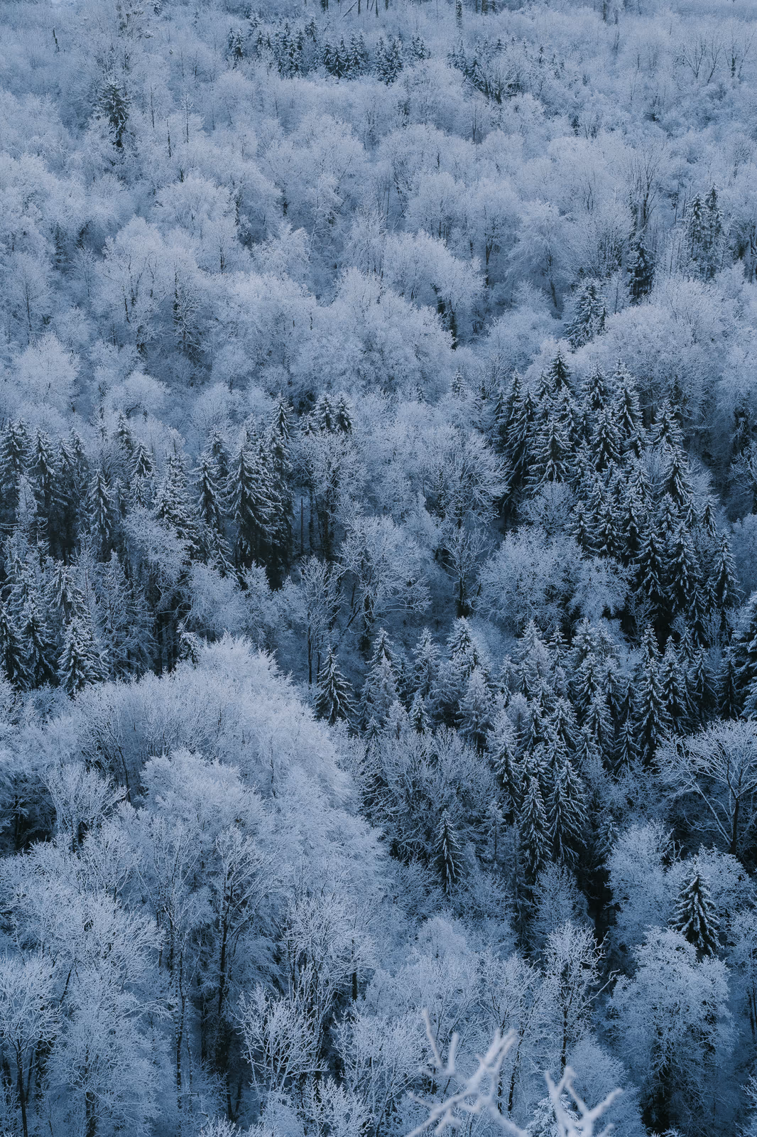 Hiver — image 2 sur 10