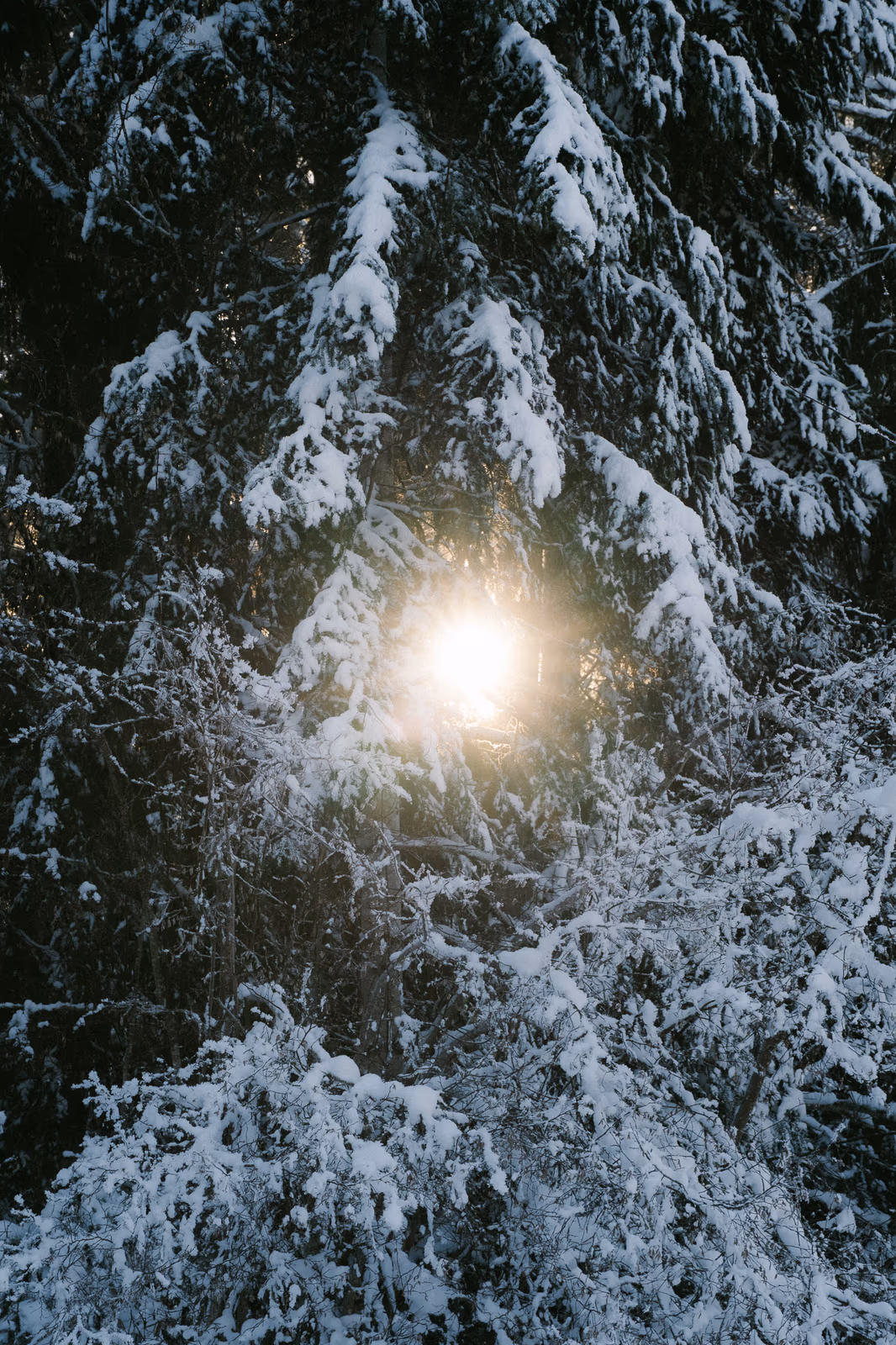 Hiver — image 4 sur 10