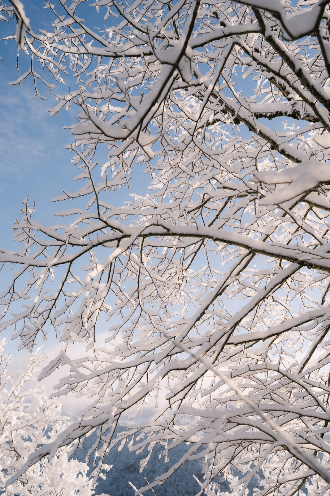 Hiver — image 5 sur 10